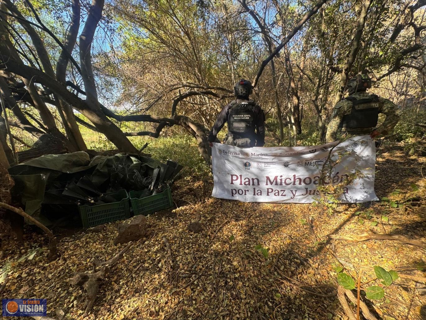 SSP desactiva 48 artefactos explosivos improvisados en Apatzingán