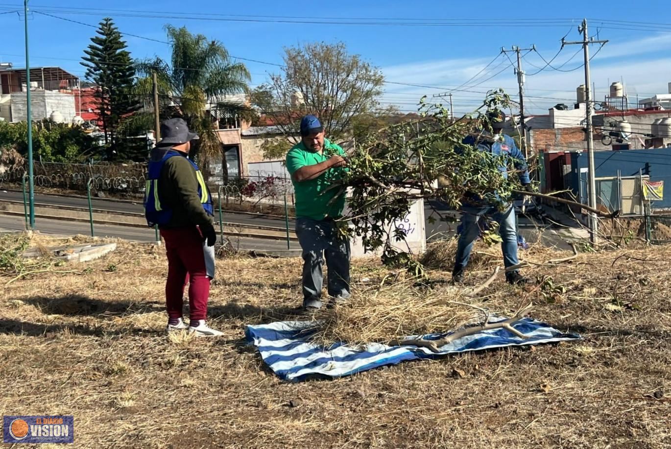 Gobierno de Morelia atiende área verde en Cumbres del Quinceo con jornada integral de mantenimiento
