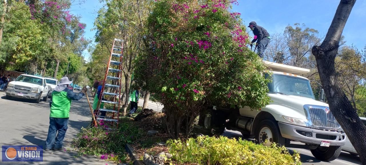 Gobierno Municipal interviene y mejora los espacios públicos de Morelia
