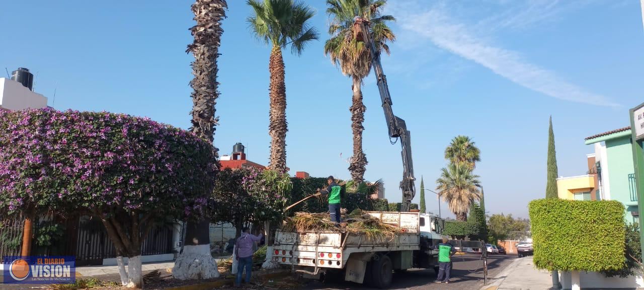 Gobierno de Morelia interviene y mejora áreas verdes