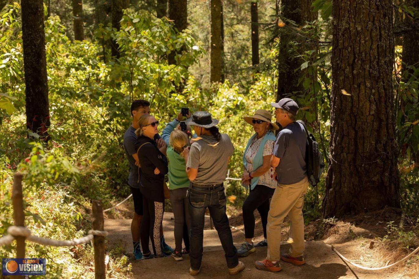 ¡Se acaba el tiempo! Última oportunidad para visitar los santuarios de la Mariposa Monarca
