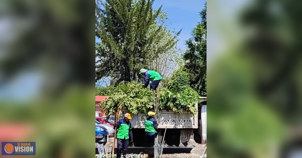 Gobierno de Morelia trabaja en el cuidado de áreas verdes y espacios públicos