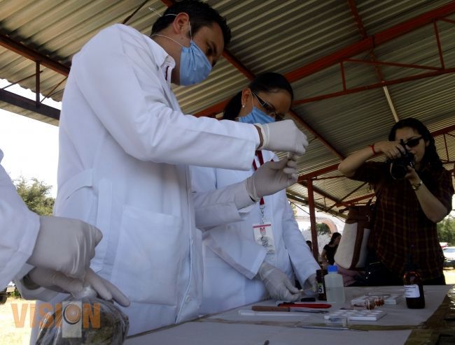 Incineran droga asegurada en  el programa de narcomenudeo
