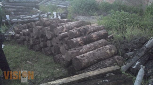 Atiende denuncia anónima Policía Forestal de la SSP