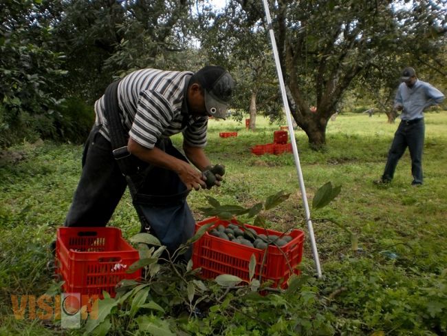 El mejor presupuesto para el campo en vez de asistencialismo y cruzadas contra el hambre