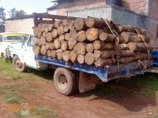 SSP realiza aseguramiento de producto forestal y de tres unidades