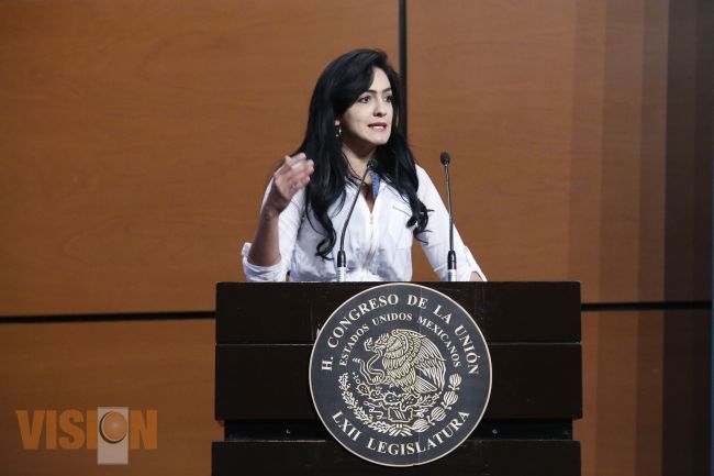 Apoyo a la senadora Iris Vianey Mendoza Mendoza ante expresiones calumniosas que ha recibido