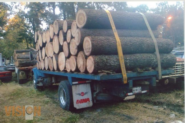 Asegura PGJE a 7 personas posiblemente coludidas con delitos contra la ecología