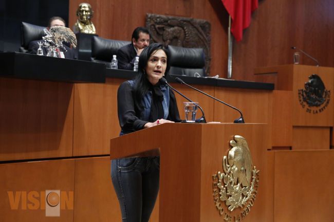 Licencia de 30 días otorgan a la Senadora Iris Mendoza Mendoza.