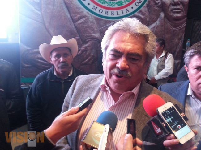Con la intervención de Peña Nieto en Michoacán, es un parteaguas: Chon Orihuela 