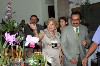 Anuncian Festival Nacional de la Orquídea