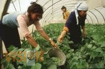 Anuncian Encuentro de Mujeres Rurales