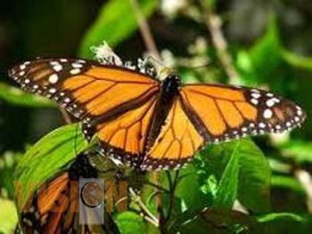 La Secretaria de Turismo realiza Promoción en Canadá