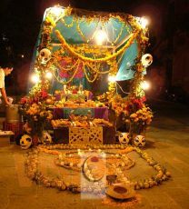Vestirán plazas y jardines con flor de Cempasúchil para día de muertos