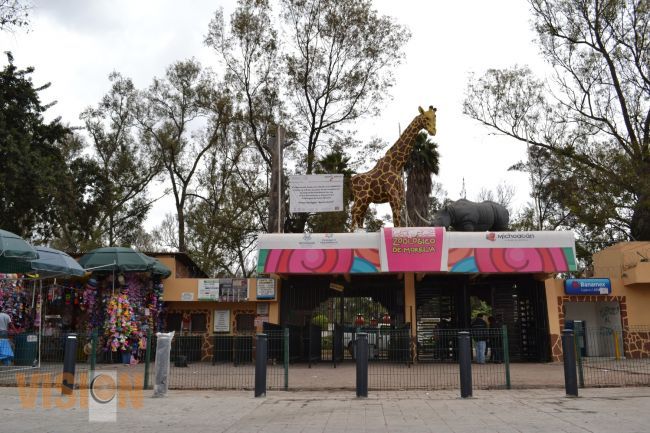 El Zoológico de Morelia ofrece promociones para estas vacaciones de invierno.