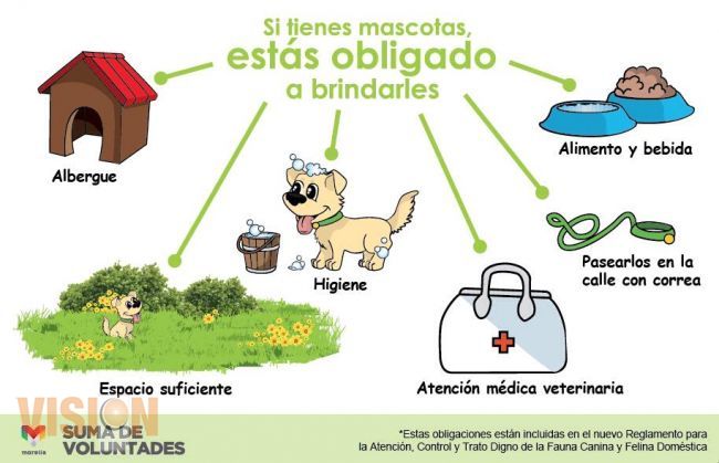 Centro de Atención Canina de Morelia trabaja en favor de los animales y de la salud pública.