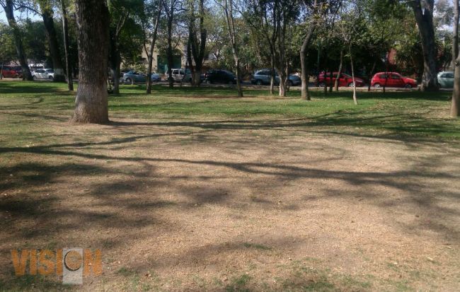 Ayuntamiento realiza acciones de mantenimiento, rehabilitación y rescate de áreas verdes.