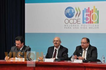 Expone FVF programa especial de acciones para el empleo ante miembros de la OCDE