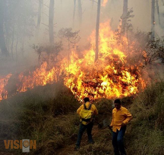 Se han registrado 25  incendios en este año