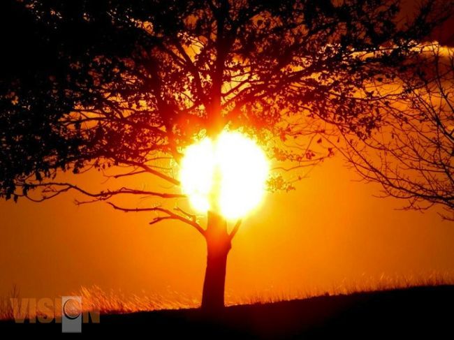 Durante esta temporada de calor, prevenir riesgos a la salud