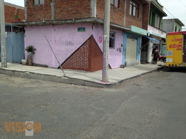 Mejorar el entorno urbano, reducir contaminación visual: Daniela de los Santos