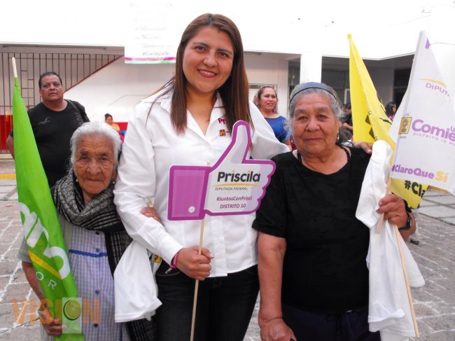 Trabajaré para la construcción de un hospital para la atención de los adultos mayores en Michoacán