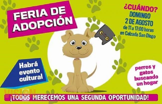 El próximo domingo, Feria de la Adopción de Mascotas en la Calzada de San Diego