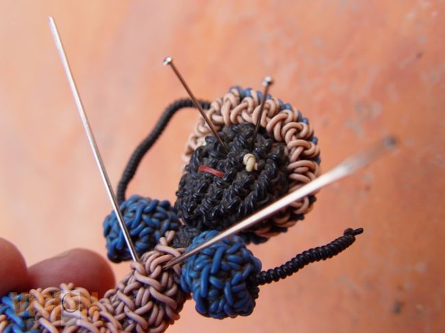 Vudú!economía 2016