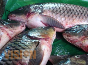 Prevención sanitaria durante la Cuaresma