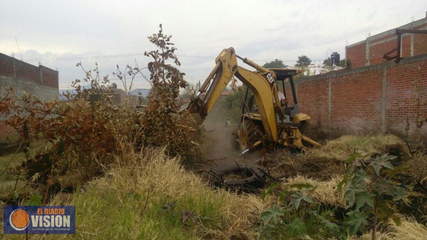 Movimiento Ciudadano inicia rescate de espacios públicos en Uruapan
