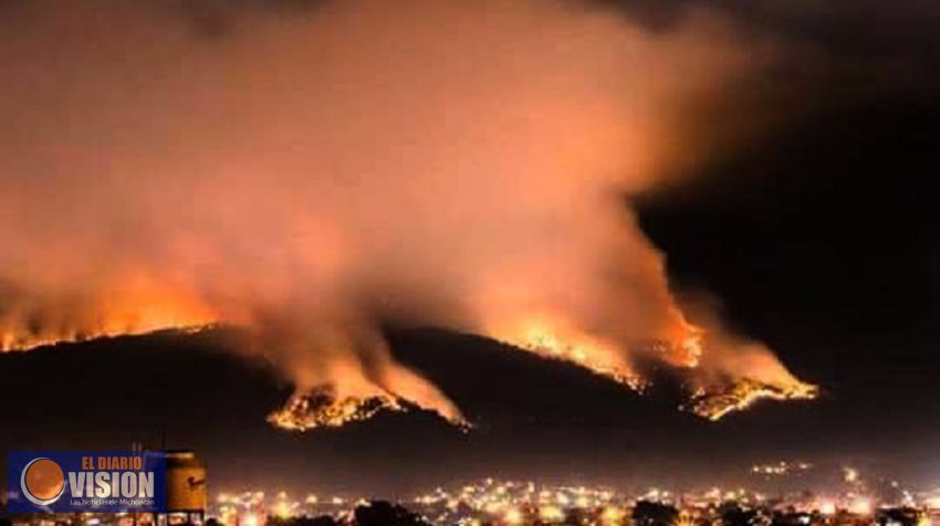 Más de 250 hectáreas de  flora y fauna, devastadas en Uruapan