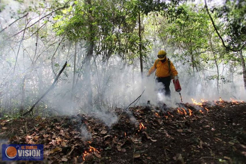 Tenemos nombres de los responsables de los incendios y eso nos ayuda: Talía Coria 
