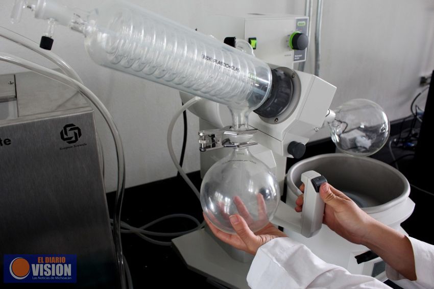 Fortalecerán la currícula en materia de ciencia la SEE 