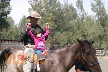 Programa de Equino terapia todo un éxito: SSP