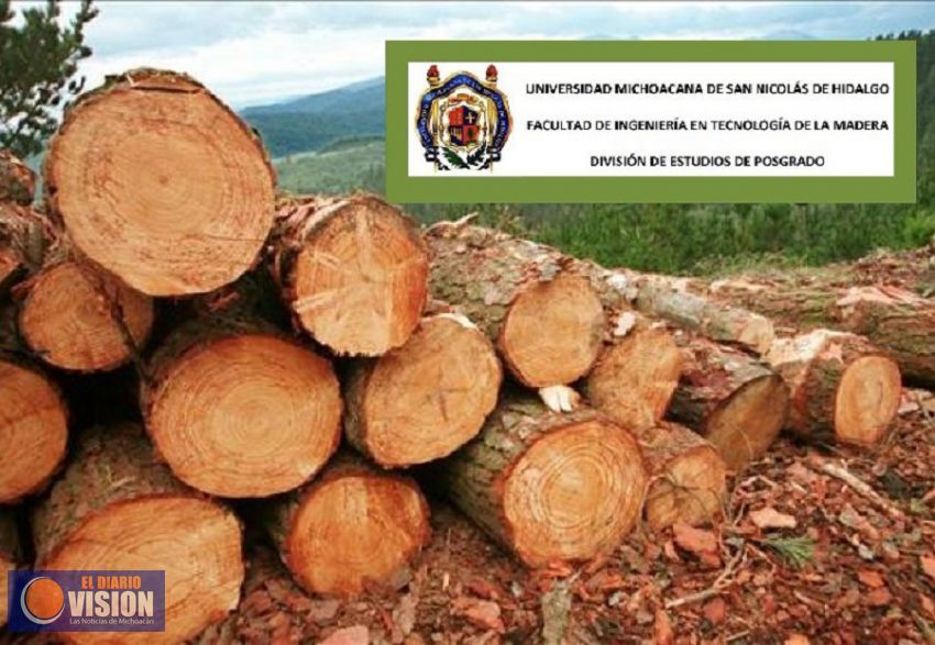 UMSNH abre convocatoria para Maestría en Tecnología de la Madera 