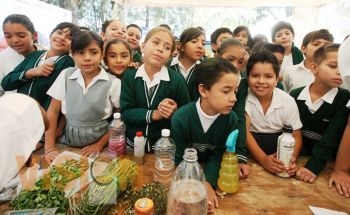 Temporada de calor, incrementación de problemas gastrointestinales