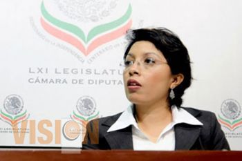 Transparentar partidos y sindicatos: Diputada Esthela Damián