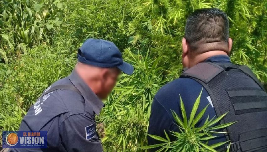 Da resultados operativo permanente de SSP en Michoacán