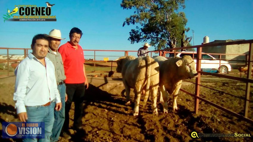 Edil de Coeneo entrega beneficios del programa municipalizado para la adquisición de sementales