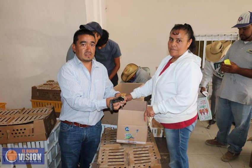 Entrega el Edil de Coeneo aves de postura, como parte del programa municipal 