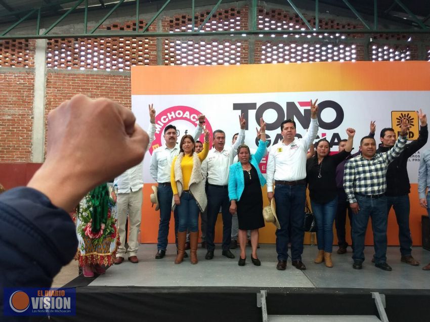 Ser mayoría en el Senado, prioridad del PRD: Toño García