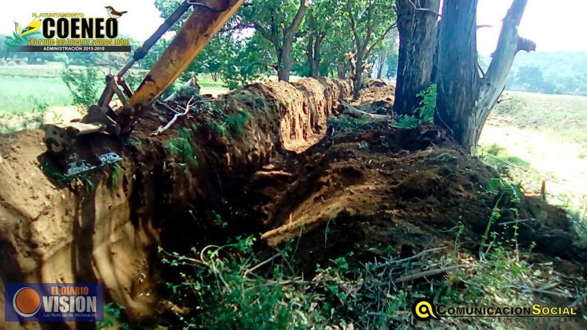 Avanza 60% de desazolve del arroyo de Coeneo que benecificará a 8 ejidos