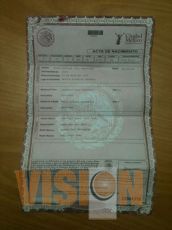 Actas de nacimiento y credenciales del IFE falsas, ¡a la venta!/