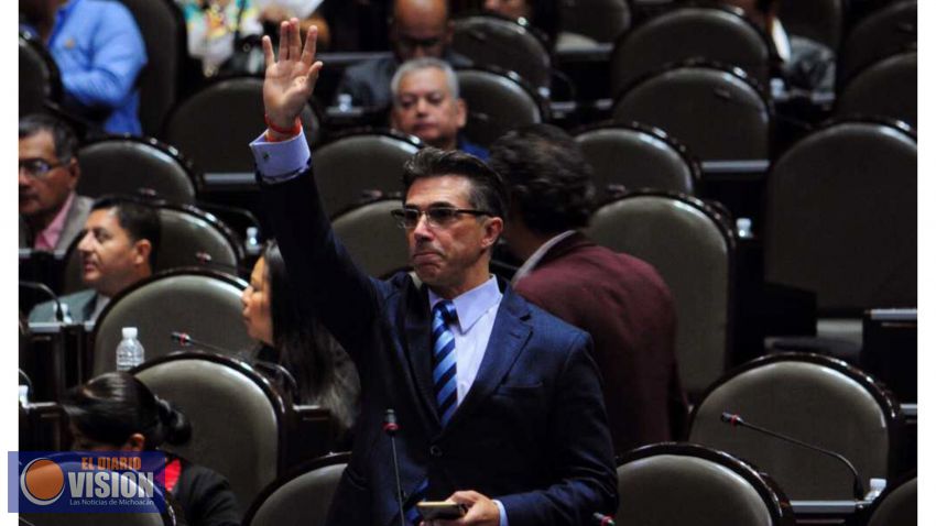Sergio Mayer presidirá la comisión de Cultura