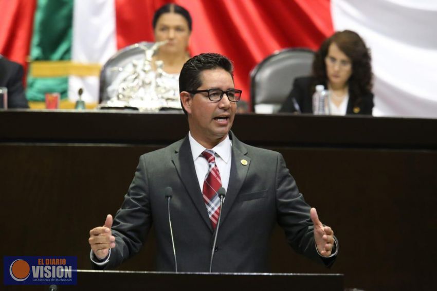 Michoacán ahora si debe ser beneficiado con el Acuerdo Comercial : Iván Pérez Negrón Ruiz