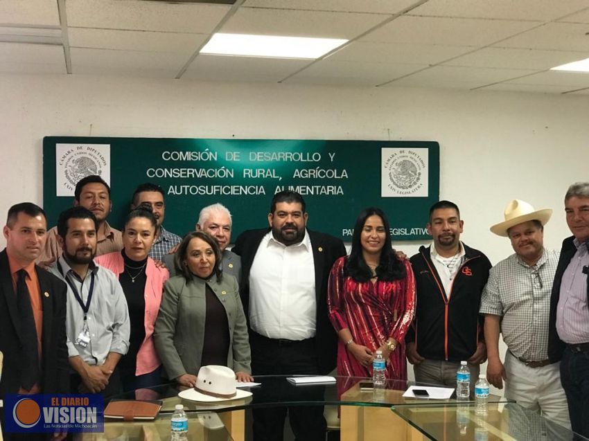 Cámara de Diputados actuará como una instancia de diáolgo en conflicto aguacatero: Francisco Huacus