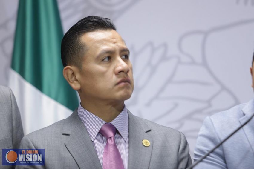 Diputados sin partido hicieron la mayoría para aprobar la revocación de mandato: Torres Piña