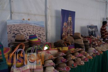 Michoacán presente en Foro de Diversidad Sexual que se realiza en el DF