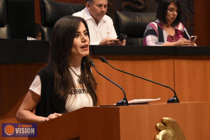 Apoyamos la Reforma Educativa, pero no será un pase libre: Movimiento Ciudadano
