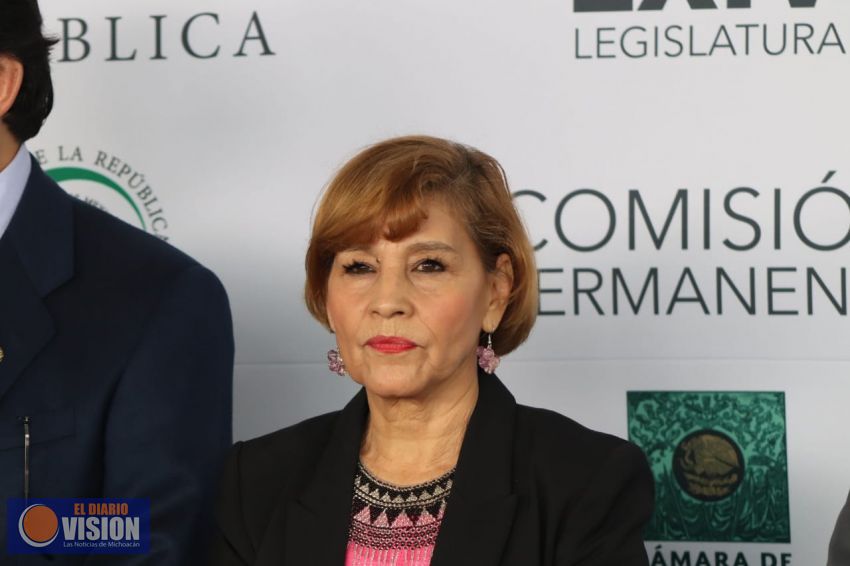 La senadora Blanca Piña votó en contra del T-MEC
